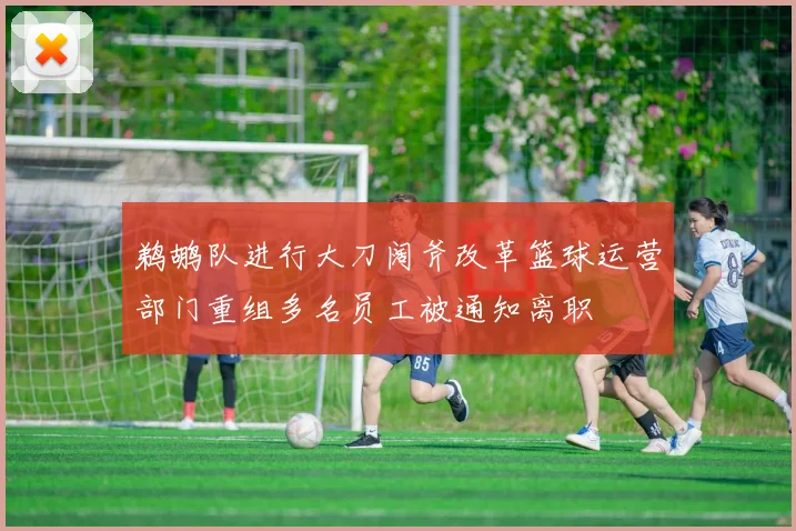 鹈鹕队进行大刀阔斧改革篮球运营部门重组多名员工被通知离职